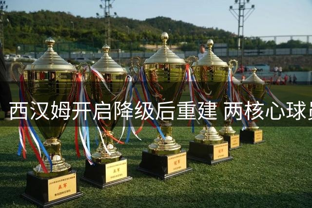 西汉姆开启降级后重建 两核心球员恐遭清洗